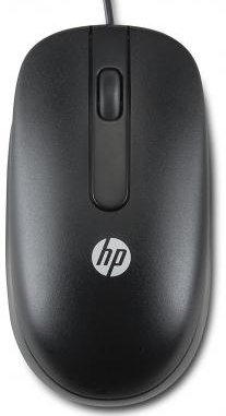 Мышь HP Optical Scroll USB (QY777AA) купить | ELMIR - цена, отзывы ...