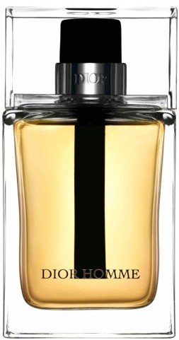 christian dior dior homme 2011