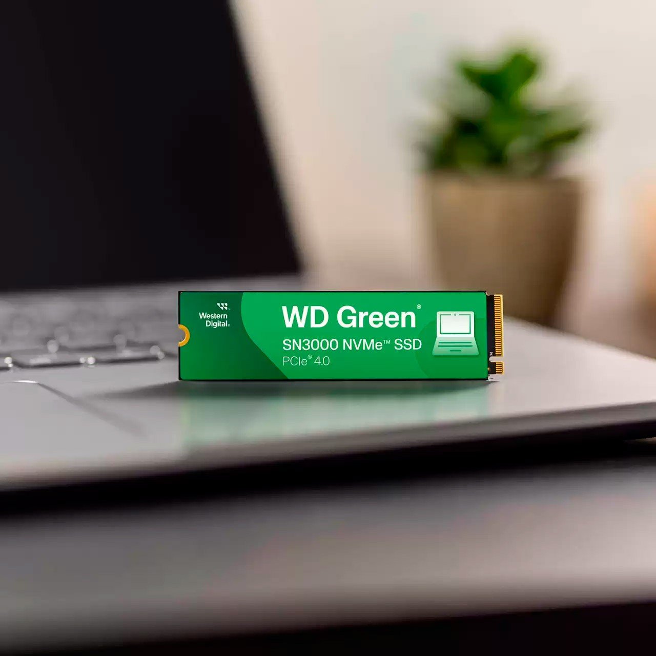 SSD-накопитель M.2 1TB WD Green SN3000 (WDS100T4G0E) купить 