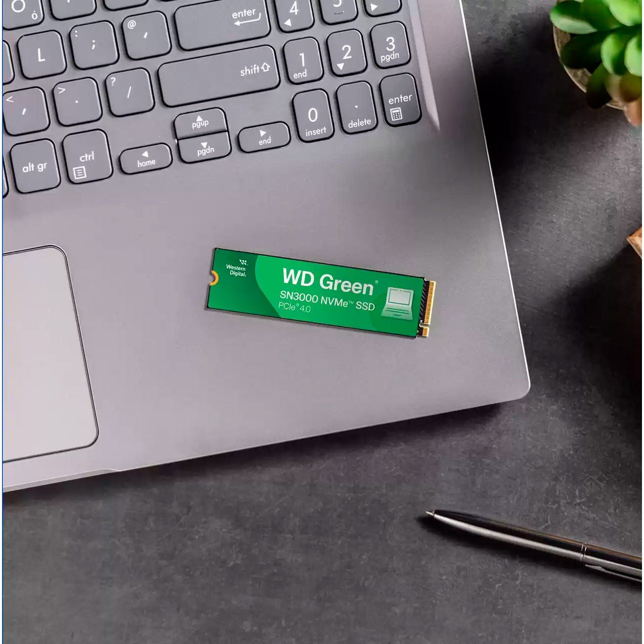 SSD-накопитель M.2 2TB WD Green SN3000 (WDS200T4G0E) купить
