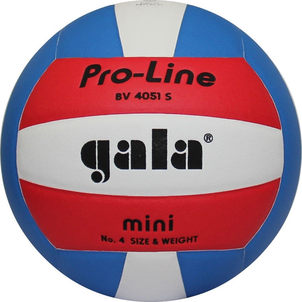 Мяч волейбольный Gala Pro-Line (BV4051SAE) купить | ELMIR - цена ...