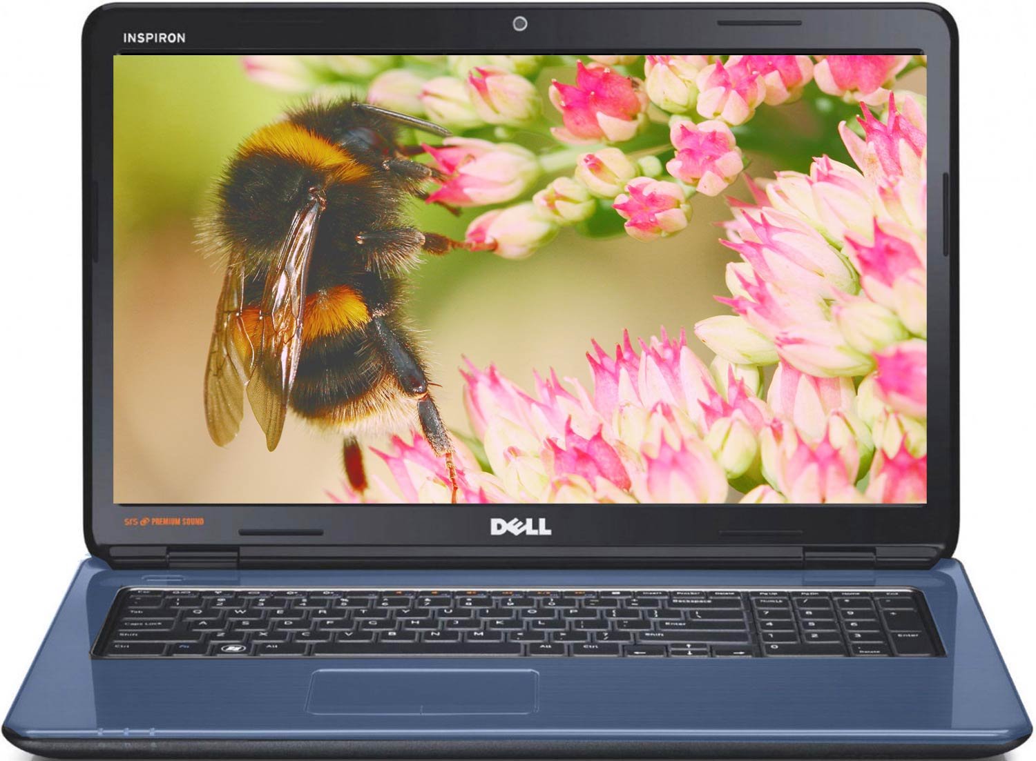Купить Ноутбук Делл Бу На Авито